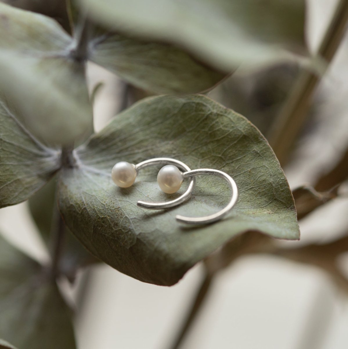 Sterling silver pearl open hug hoop earrings resting on a dried green leaf