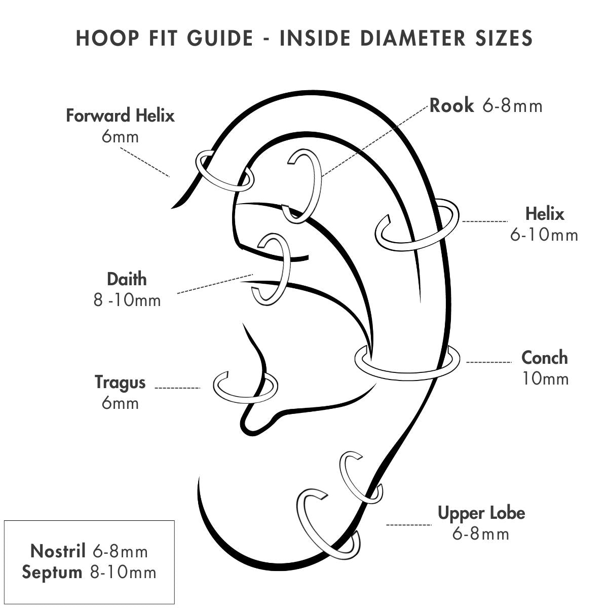 hoop earring fit guide for helix, tragus, daith, rook, conch, upper lobe, piercings