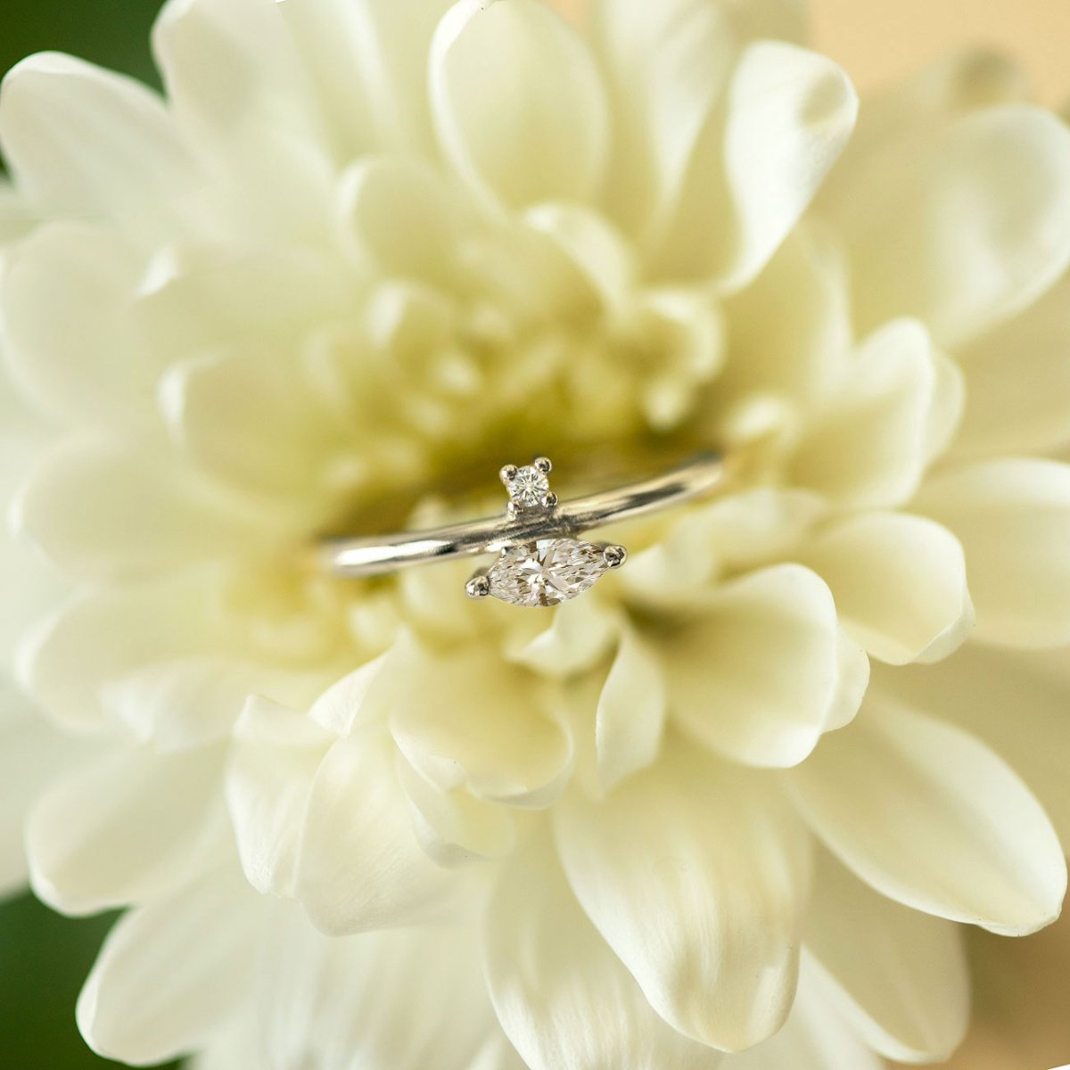 Sterling silver marquise band ring with a white zirconia stone, resting on a white flower
