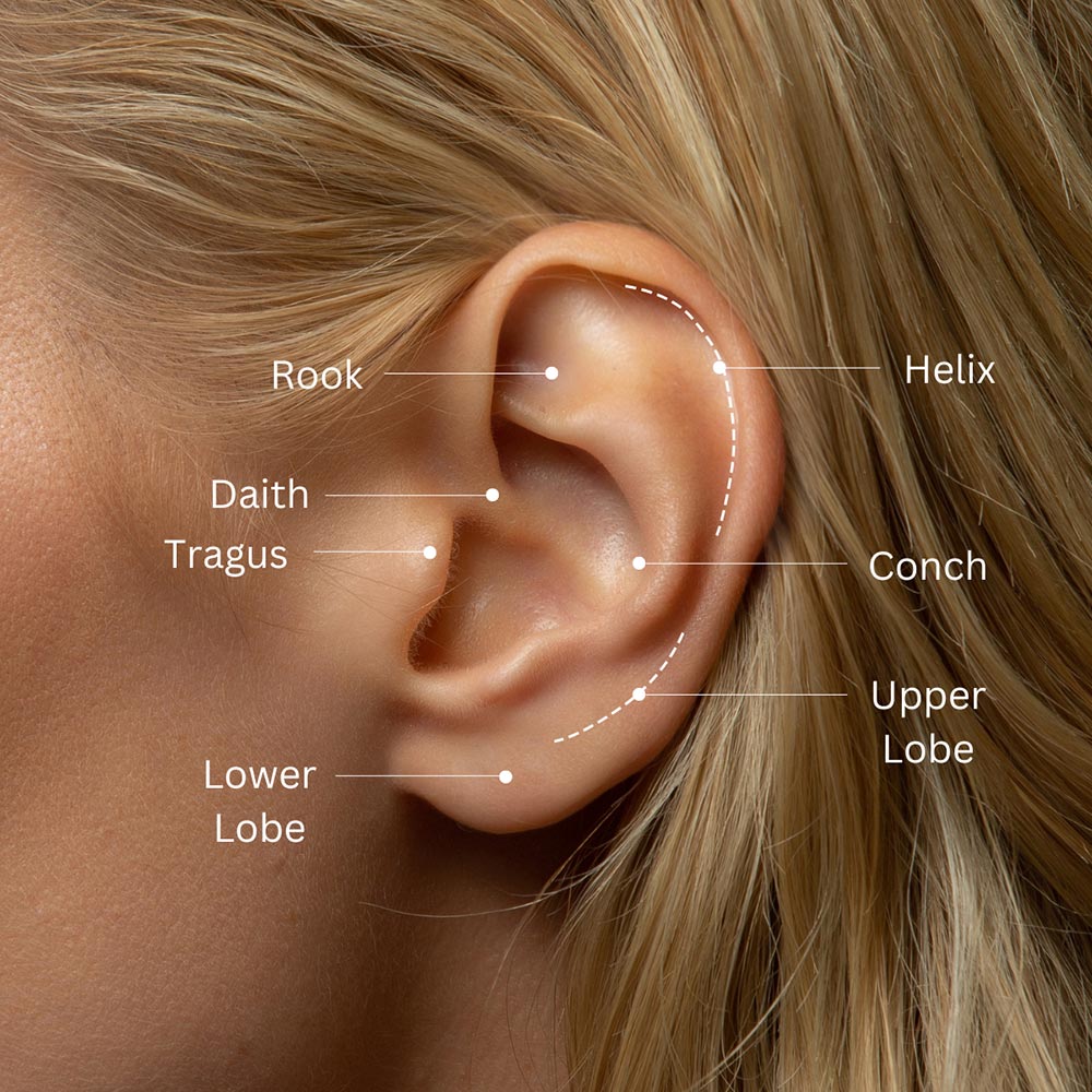 Diagram of an ear labeling piercing placements including helix, rook, daith, tragus, conch and lobe