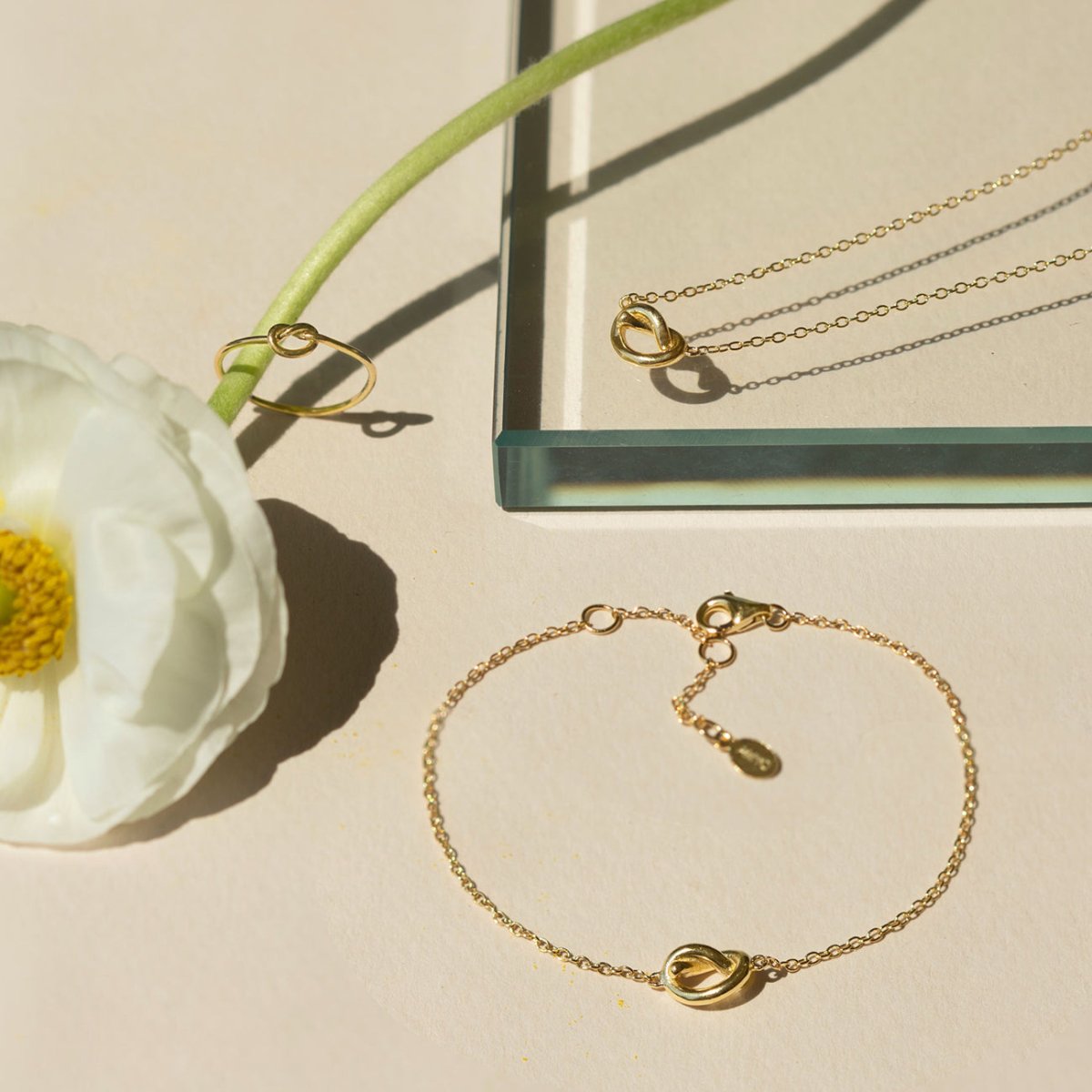Gold vermeil love knot bracelet with a lobster clasp, laid on a cream background beside a white flower
