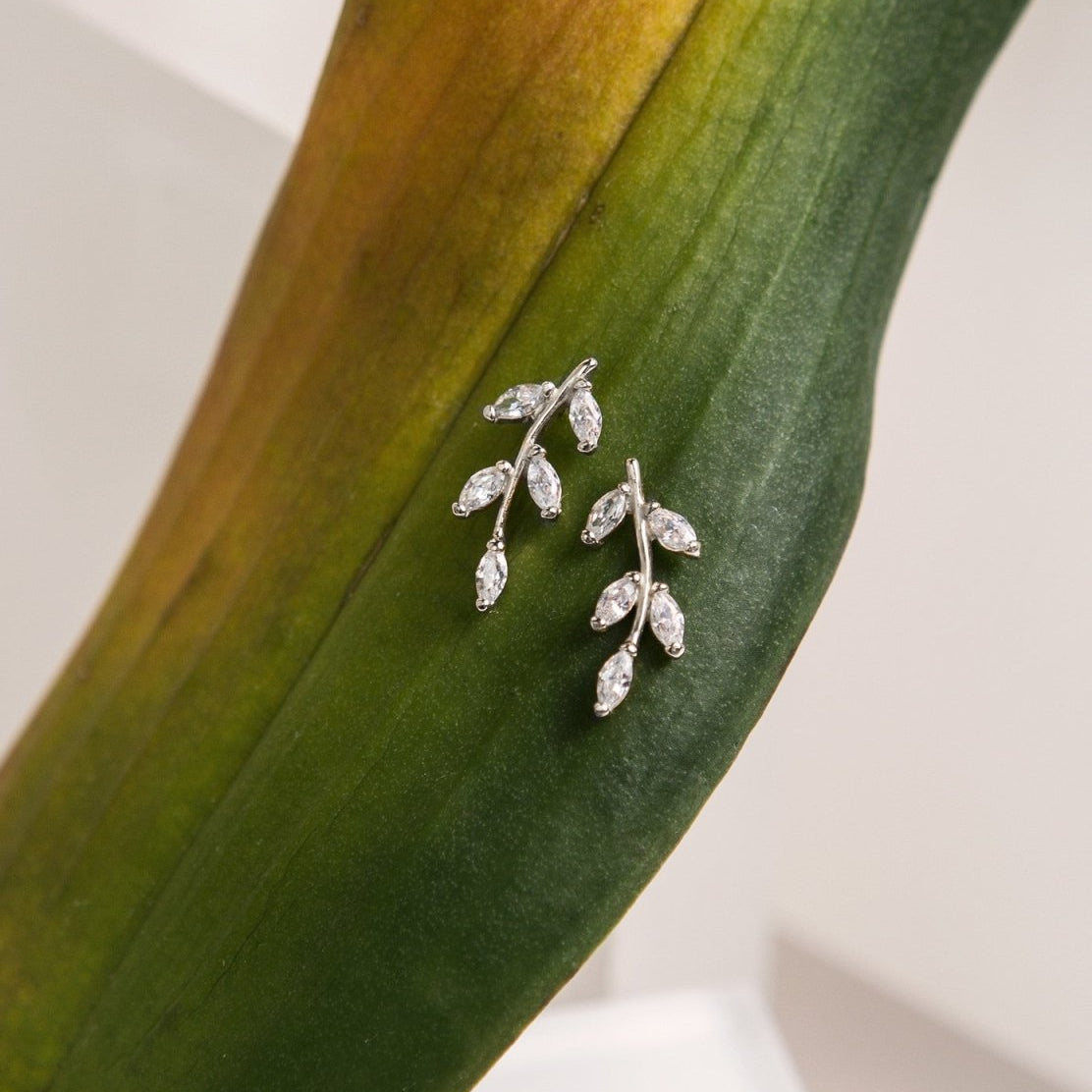 Sterling silver marquise-zirconia leaf ear climbers, close-up resting against a green leaf