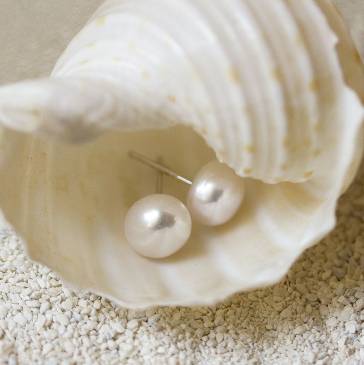 Sterling silver pearl stud earrings with white pearls, resting inside a seashell on sand
