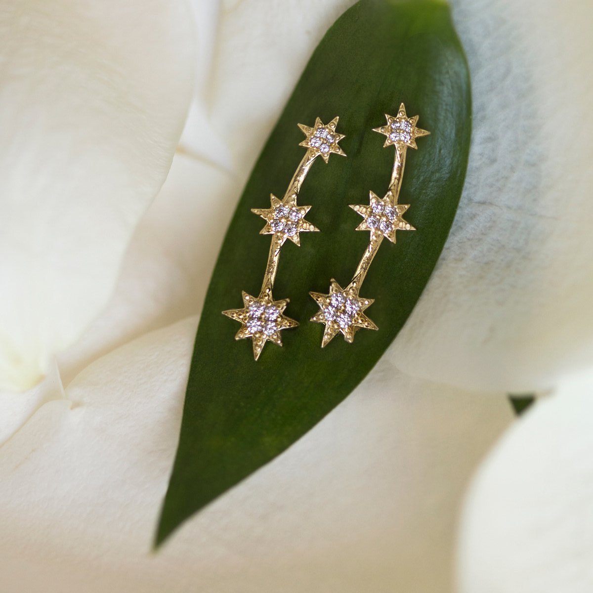 Gold vermeil star ear climbers with white zirconia, arranged on a green leaf among cream petals