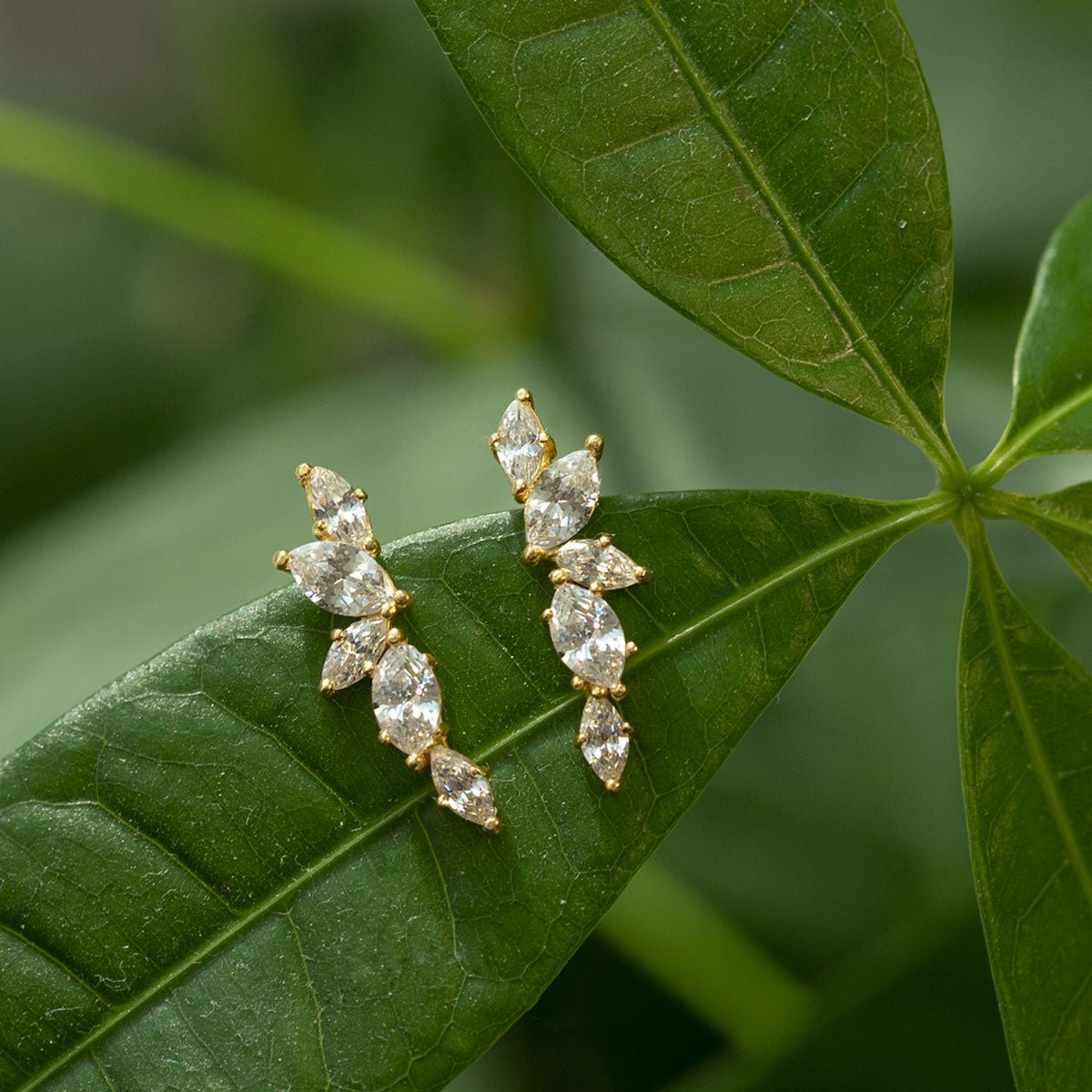 Gold vermeil marquise ear climber earrings with white zirconia stones, shown on a green leaf