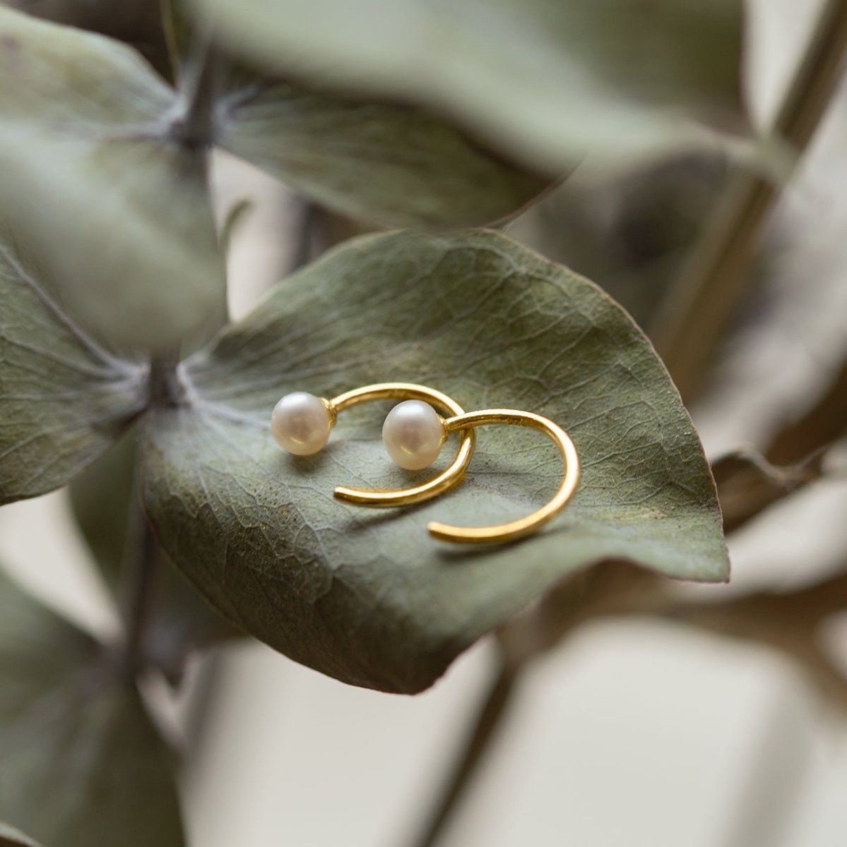 Gold vermeil pearl open hug hoop earrings resting on a dried green leaf