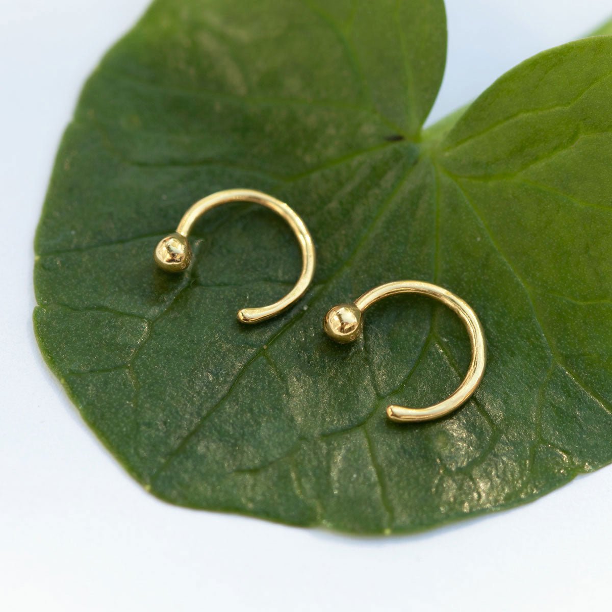 14K gold ball-end open hoops resting on a green leaf, close-up detail