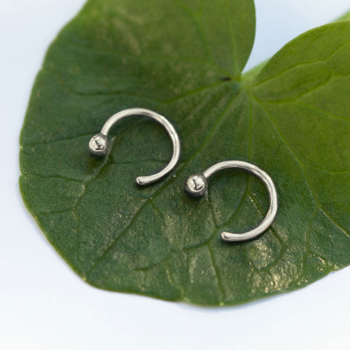 14K white gold ball-end open hoops resting on a green leaf, close-up detail