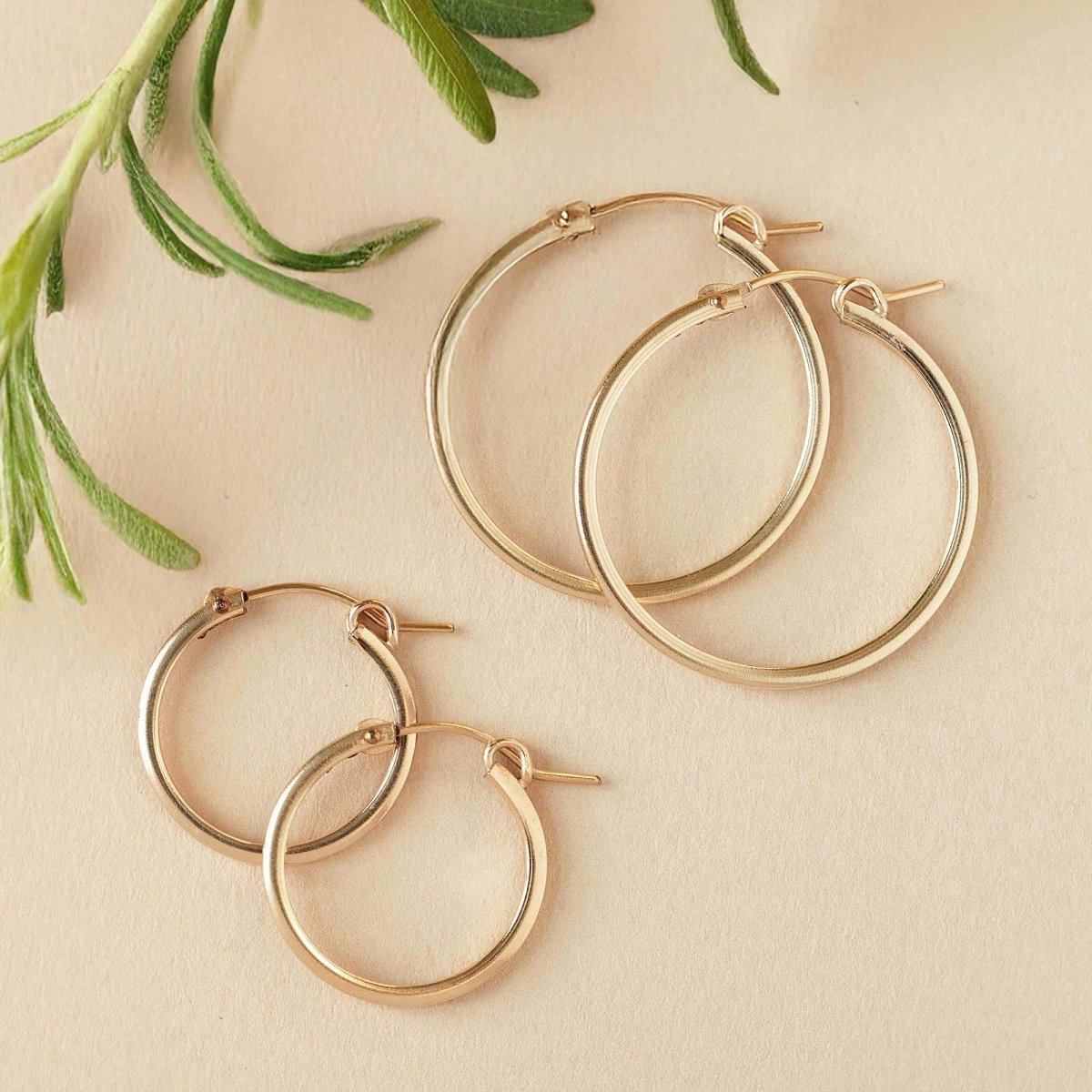 Two sizes of gold-filled square-edge hoop earrings laid on cream with a sprig of greenery