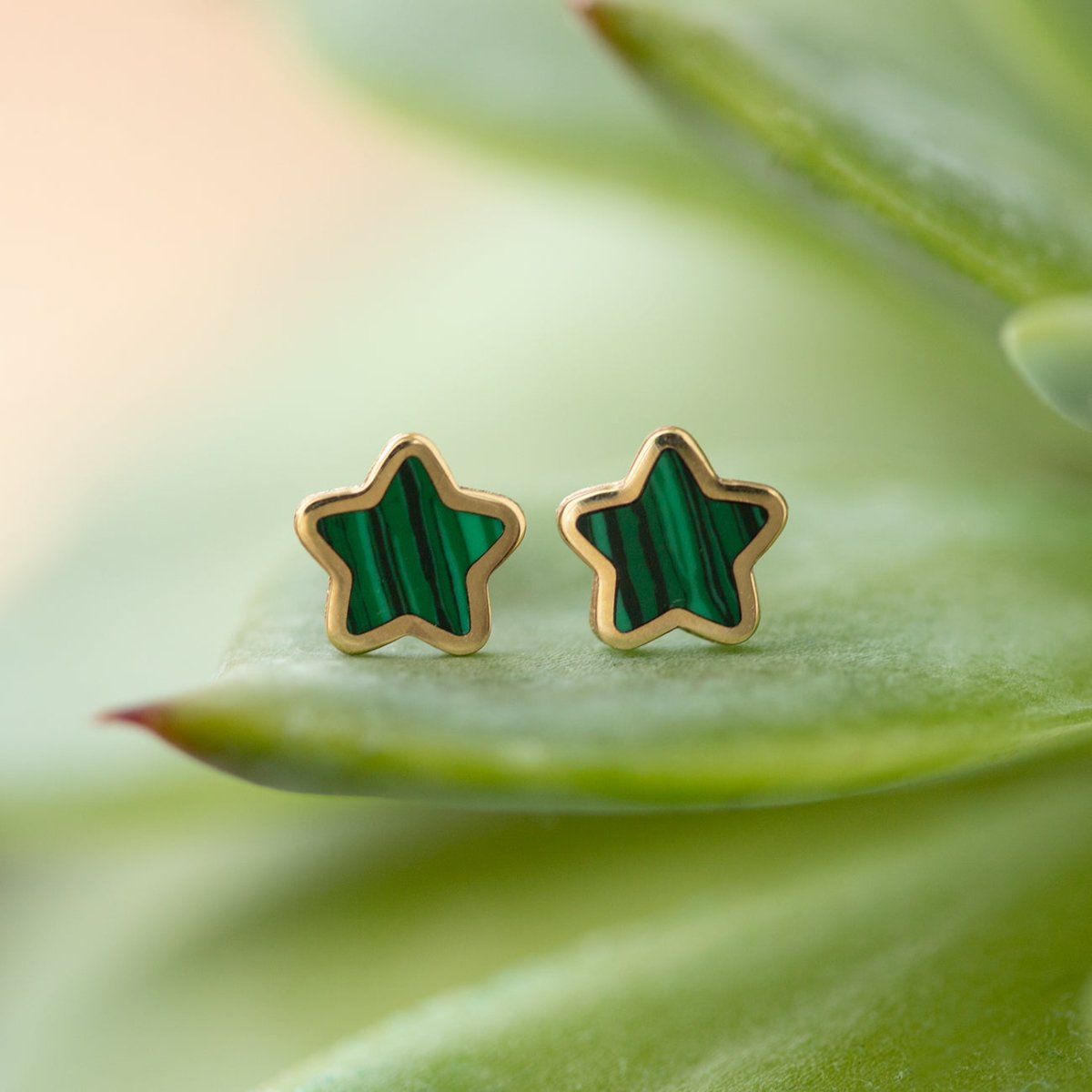 14K gold star studs with striped green malachite centers, shown on a green leaf
