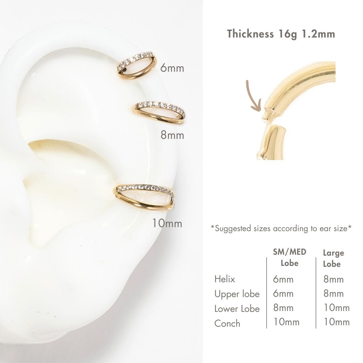 Size comparison of gold titanium zirconia clicker hoops, 6mm, 8mm and 10mm, shown on an ear display