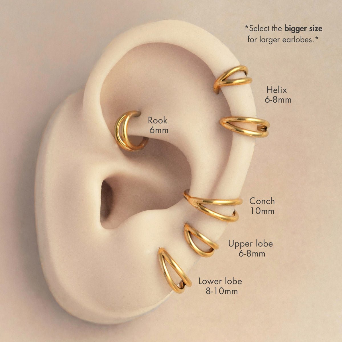 Gold titanium cartilage double hoops on a placement guide, helix, conch and lobe sizes