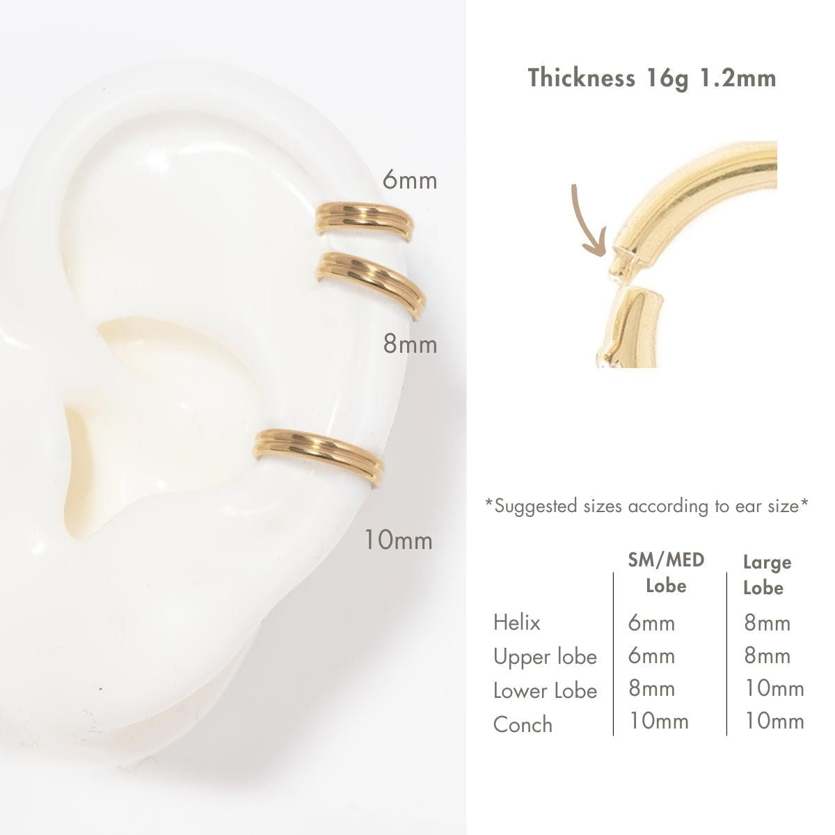 Gold titanium double hoop earring size guide, 6mm, 8mm and 10mm shown on an ear, 16g 1.2mm