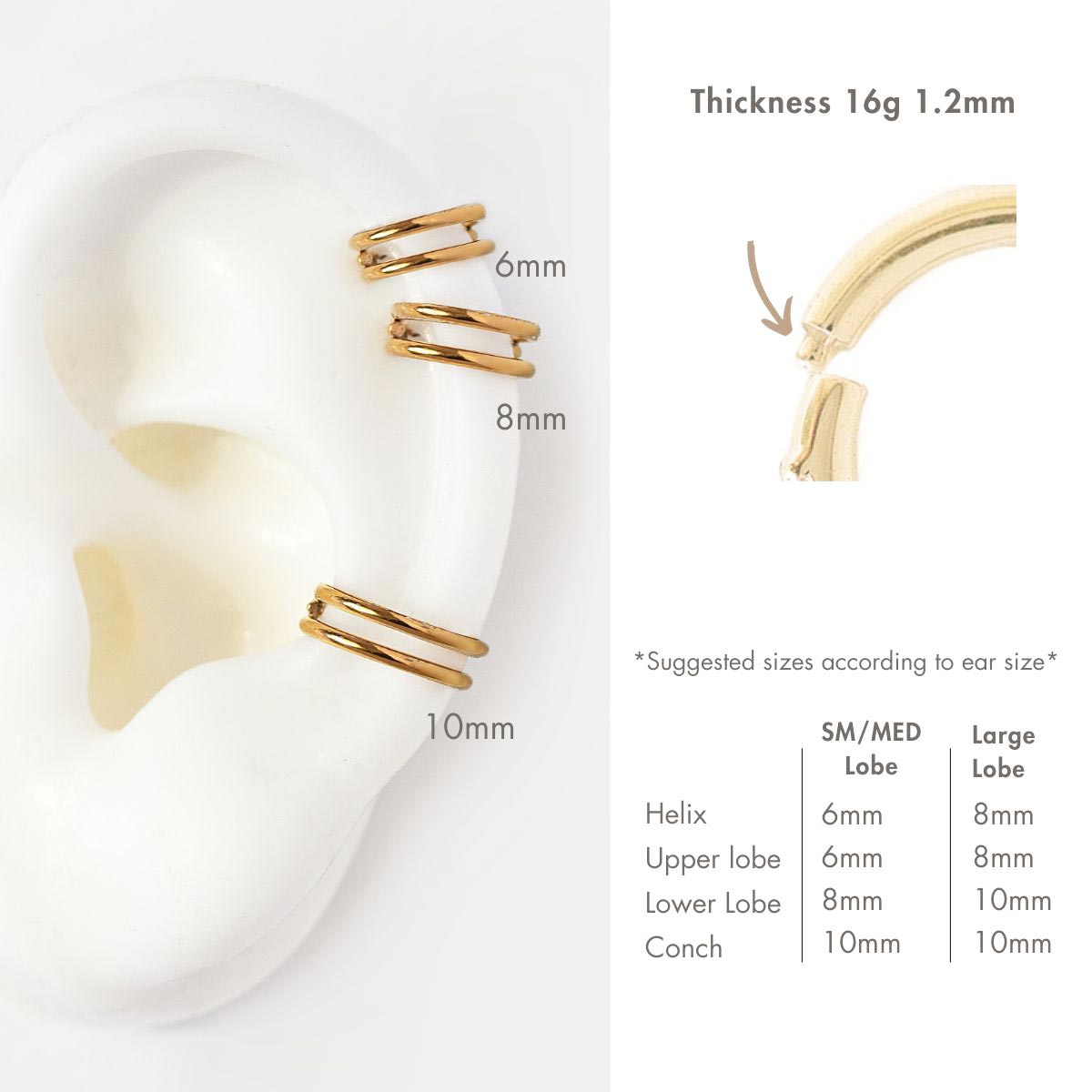 Gold titanium double hoop cartilage earrings on a silicone ear model with a 6mm, 8mm and 10mm size guide