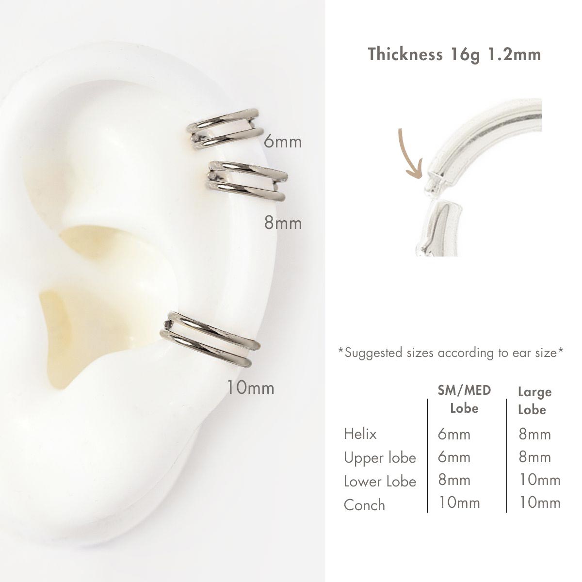 Titanium double hoop cartilage earrings on a silicone ear model with a 6mm, 8mm and 10mm size guide