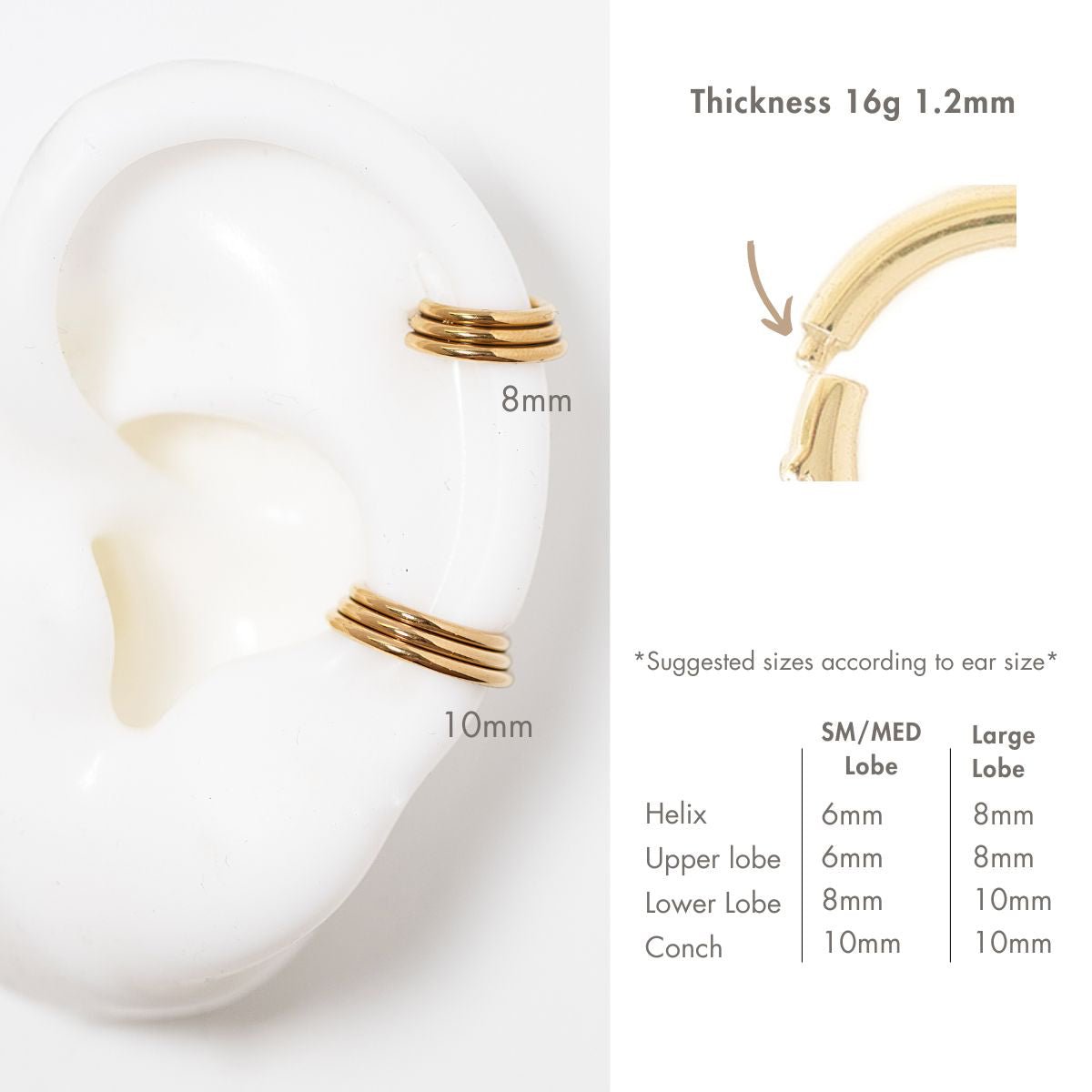 Gold titanium ridged hoops on a display ear with 8mm and 10mm size guide and thickness chart