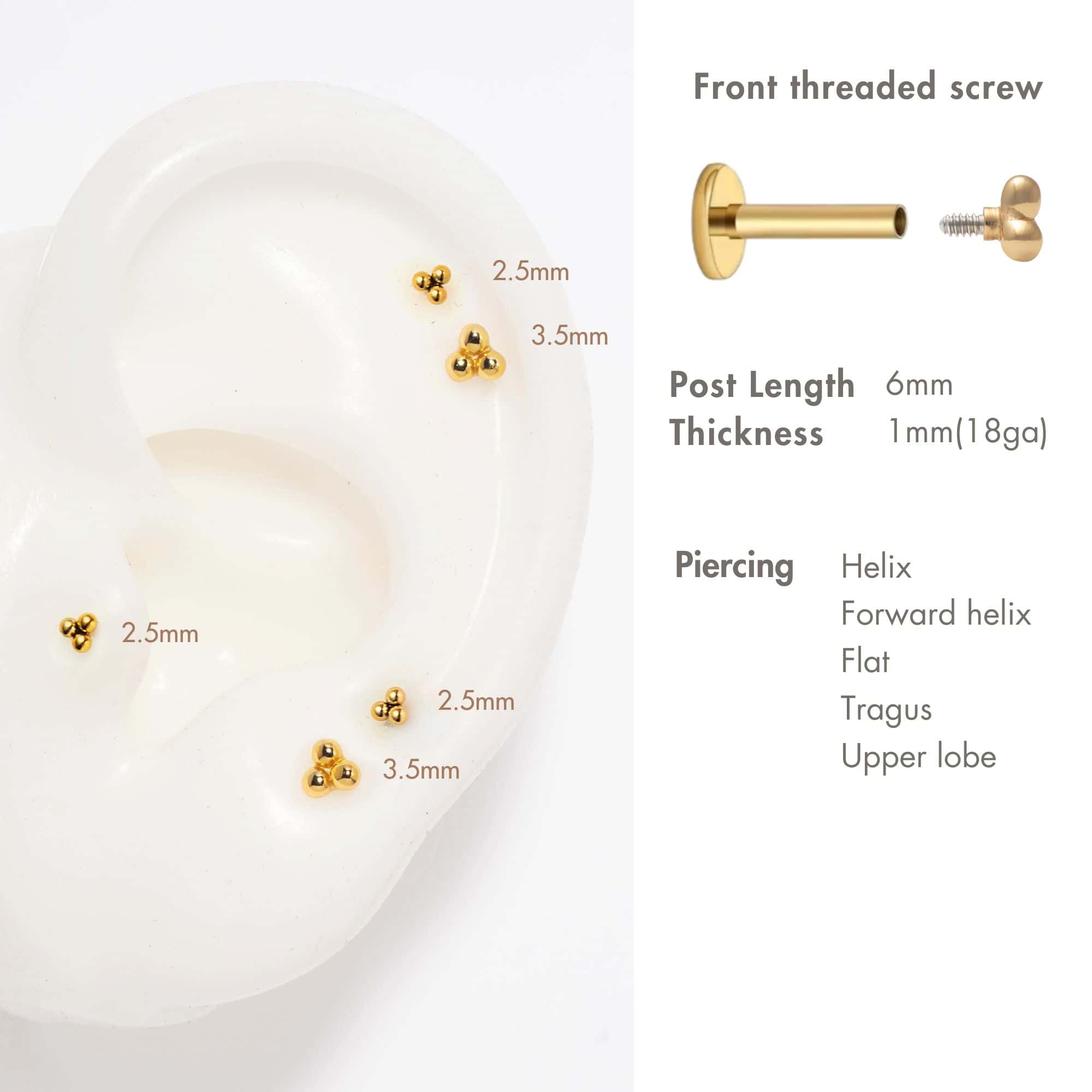 Gold titanium trinity-bead flat back studs on a silicone ear, 2.5mm and 3.5mm size chart