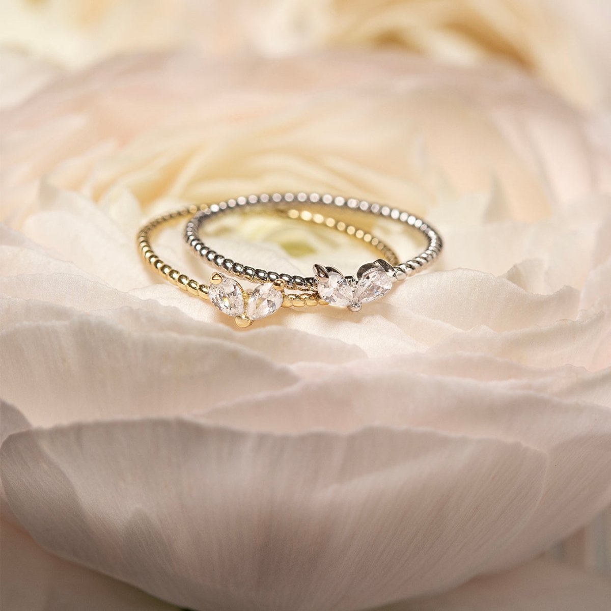 Sterling silver thin twin pear white zirconia ring beside a gold version, on cream rose petals