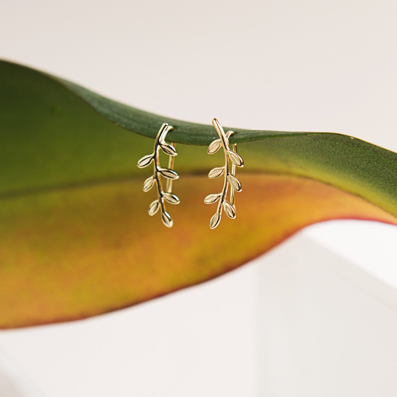 Gold vermeil leaf-and-vine ear climber earrings resting on a green and orange leaf