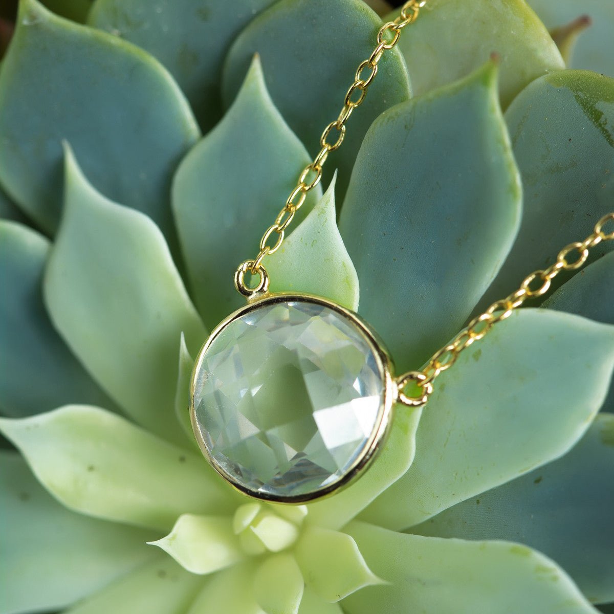 Gold vermeil necklace with a round faceted clear stone pendant, styled on a green succulent